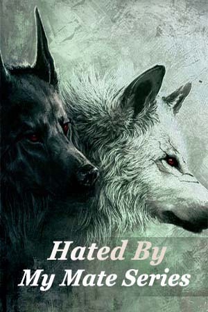 Hated By My Mate Series