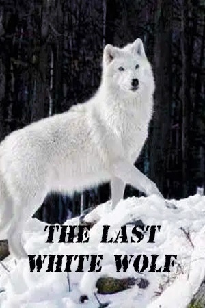 The Last White Wolf