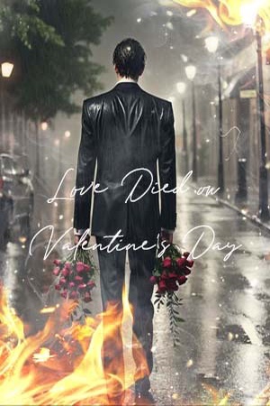 Love Died on Valentine's Day