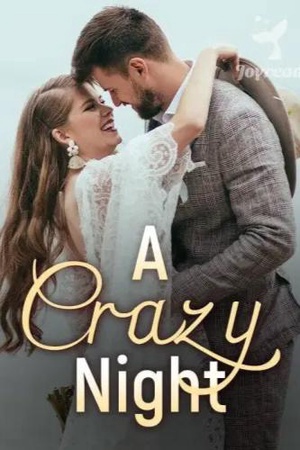 Cover of A Crazy Night (Nathaniel and Christina)