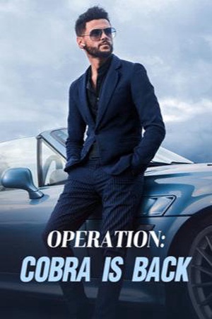 Cover of Operation: Cobra Is Back