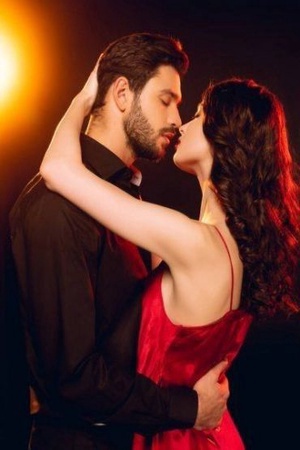Cover of The Mafia King's Temptation (Dante and Lucia)