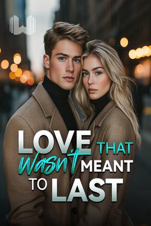 Cover of Love That Wasn't Meant to Last