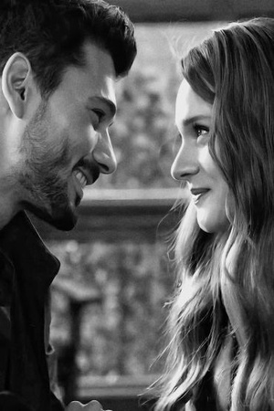 Cover of The Heart Of The Beast The Alpha's Pawn (Sonia)