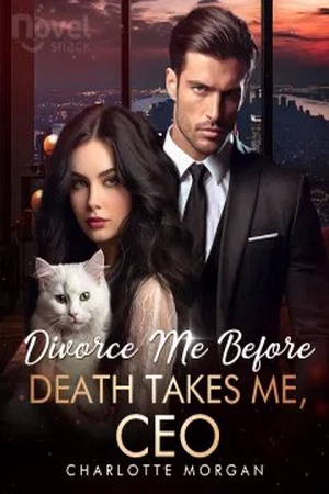 Cover of Divorce Me Before Death Takes Me, CEO