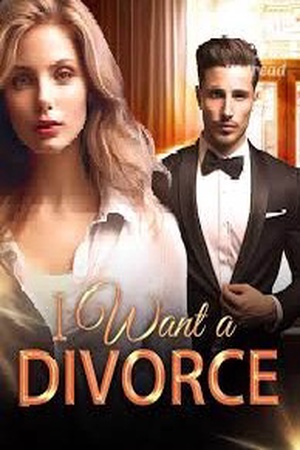 Cover of I Want a Divorce (Abigail and Sean)